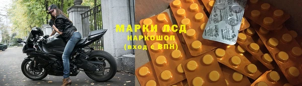 молекула духа Аркадак