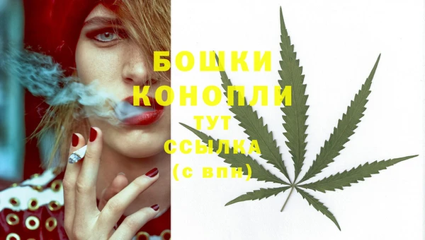 молекула духа Аркадак