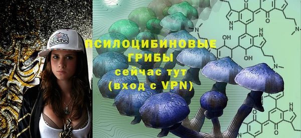 молекула духа Аркадак
