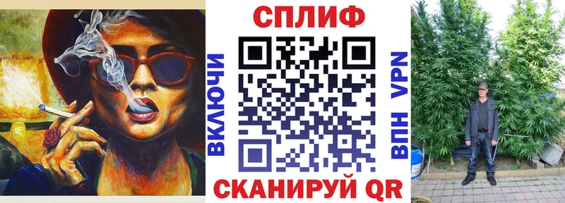 Каннабис сатива Купить Новая Ляля